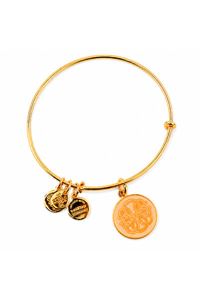 Alex and Ani Bratara Metal A16EBPOLYG