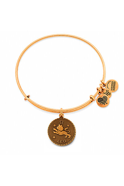 Alex and Ani Bratara Metal A07EB40LERG