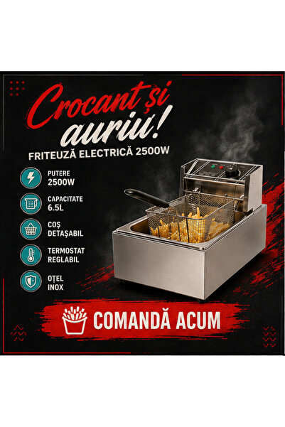 OEM Friteuză Electrică 2500W, 6.5L, 29x46x31 cm (RO-V02) (PLD)