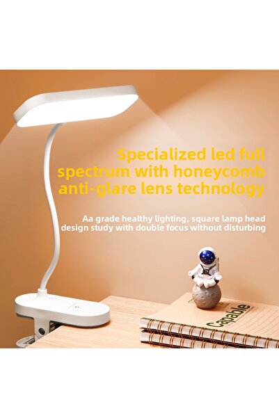 Choice Warm White WHITE Portable Clip-on LED Reading Lamp USB Charging, Ideal...
