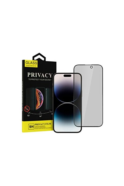 sscase Apple iPhone 15 Plus Αντικαταστατικό Γυαλί Απορρήτου