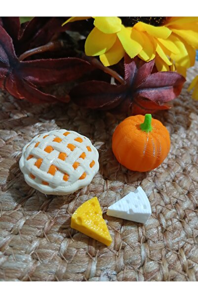 cankids Minyatür balkabağı set