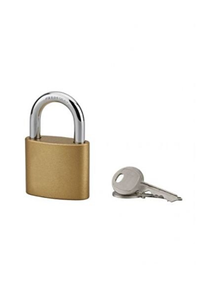 Serrurerie de Picardie Oval padlock, 50 mm, brass-plated steel, 3 keys - SP