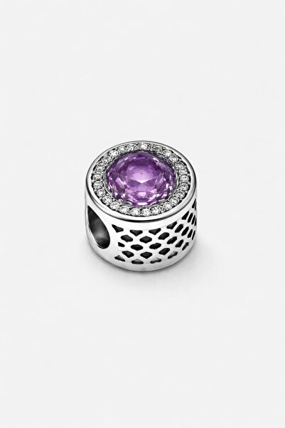 MakeWell Purple Stone Steel Charm