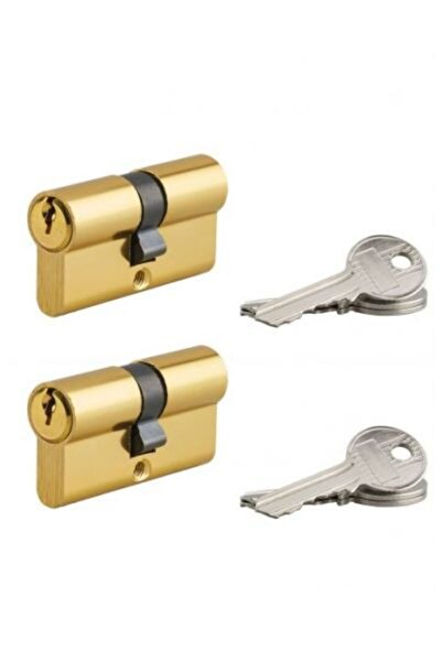 Serruprix Set de 2 cilindri de ușă, profil european, 30 x 30 mm, 6 chei