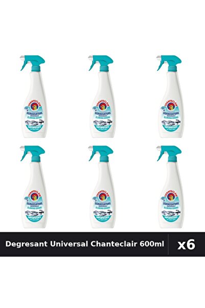 Chanteclair Set 6 Degresant Universal 600ml Anti-Miros - Curatenie Bucatarie