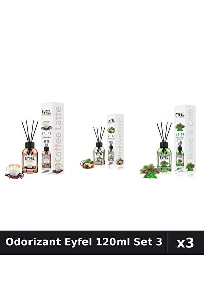 Eyfel Set 3 Odorizante Camera cu Betisoare 120ml - Cafea, Nuca Cocos, Pin Menta