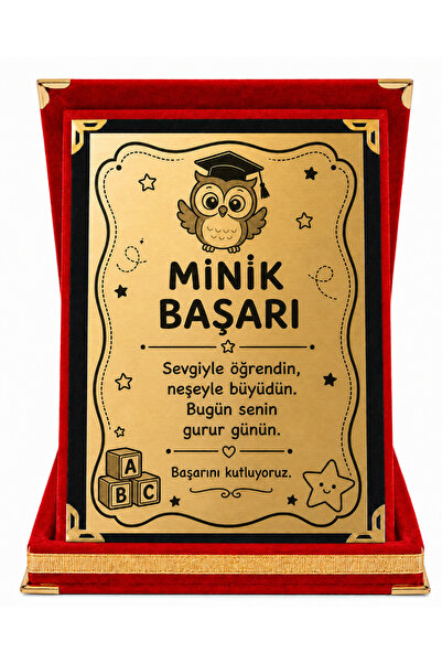 HiperAD Reklam Kadife Kutulu MİNİK BAŞARI PLAKETİ – MEZUNİYET PLAKETİ KADİFE ...