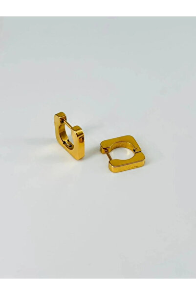 Marsilyan Nvdn- Ieg - Steel Men's Earrings Iegrs-Nvdn1