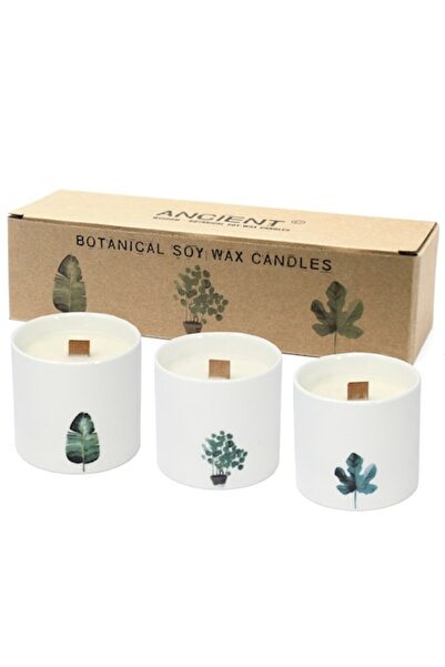 Ancient wisdom Set of 3 scented candles in ceramic jar Ancient Wisdom, Victor...