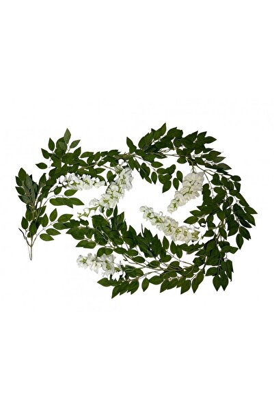 OEM Ghirlanda Glicina