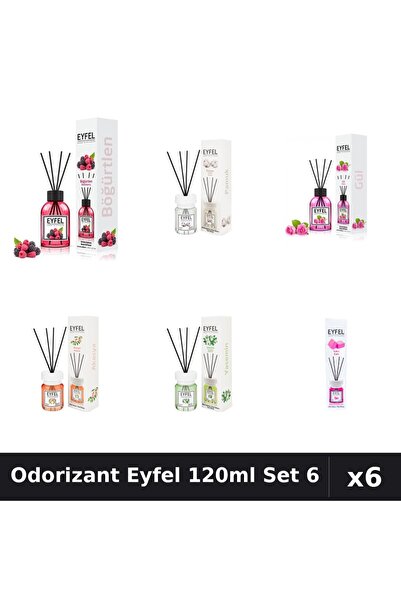 Eyfel Set 6 Odorizante Camera Betisoare 120ml - Fructe, Bumbac, Trandafir, Ac...