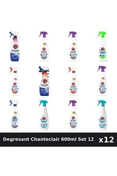 Chanteclair Set 12 Degresant Universal 600ml - 8 Arome Asortate Curatenie Casa