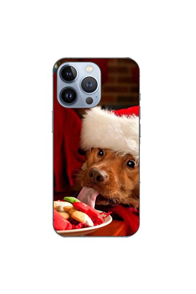 OEM Θήκη συμβατή με Apple iPhone 13 Pro από σιλικόνη gel TPU με σχέδιο Χριστο...