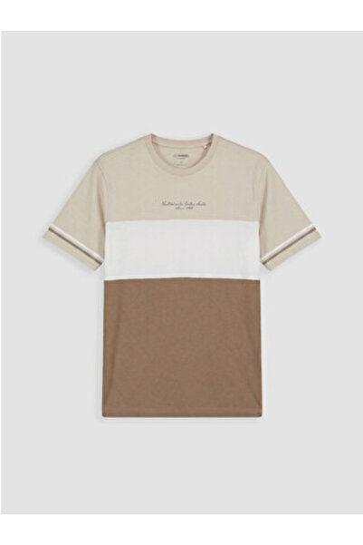 LC Waikiki New Season Beige Crew Neck Color Blocked Men's T-Shirt