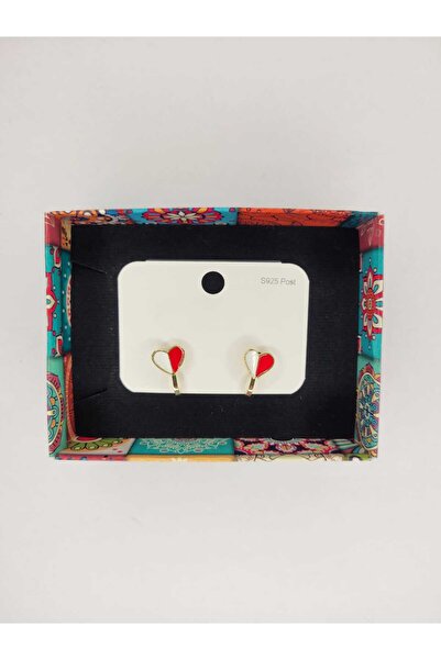 ÖZÇTAKI Steel Children's Earrings - Clip-On (Non-Pierced) - Heart Model - for...