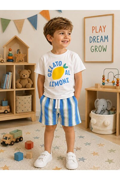 elzo collection Boy's Lemon Printed T-Shirt Blue and White Striped Shorts Top...