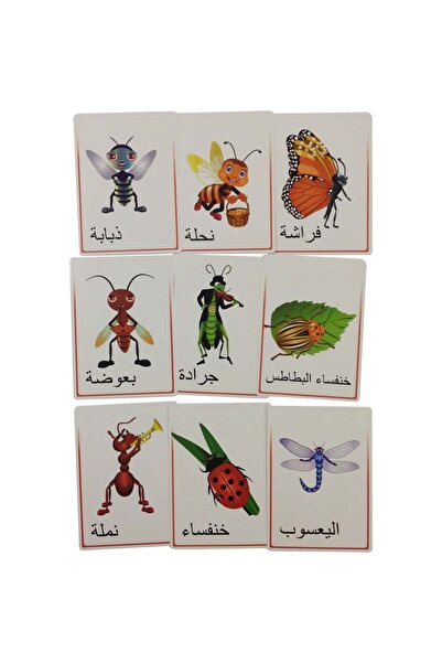 Puzzle Educational Cards - Insects - Talk and Communicate