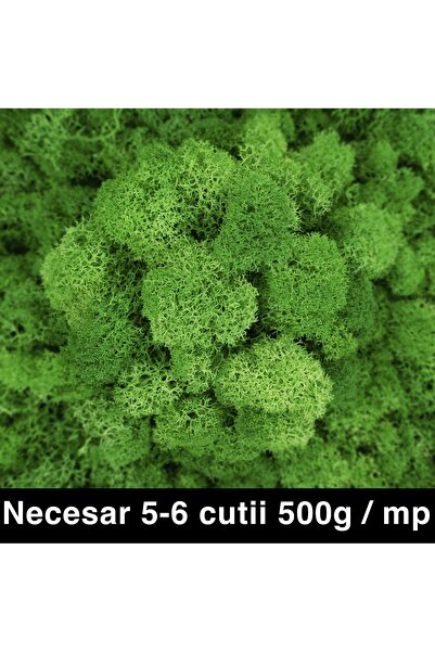 Roberto Rossi Licheni curatati si fara radacina conservati 500g NET, calitate...