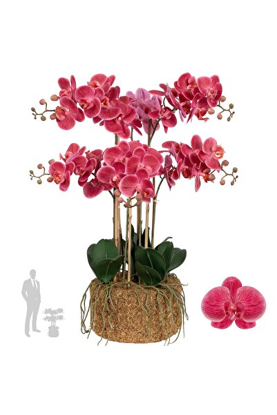 Roberto Rossi Orhidee artificiala roz-magenta cu aspect H72 cm cu 6 tulpini