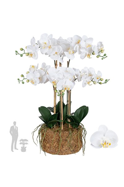 Roberto Rossi Orhidee artificiala alba cu aspect H72 cm cu 6 tulpini