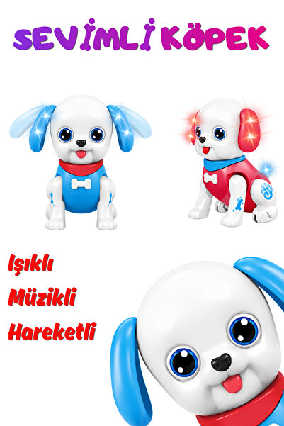 AYATOYS Işıklı Müzikli Hareketli Sevimli Robot Köpek – Çocuklar İçin Eğitici ...
