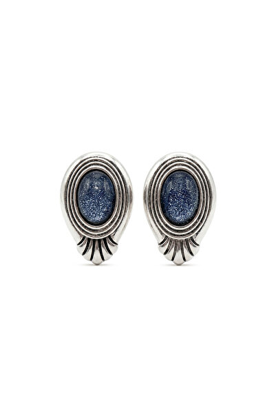 Charmist Steel Astra Earrings