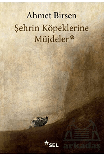 Sel Yayıncılık Şehrin Köpeklerine Müjdeler