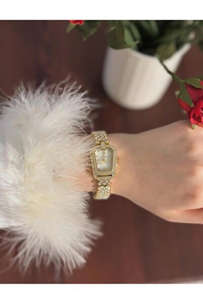 vanus fashion Luxury Women's Watch W64