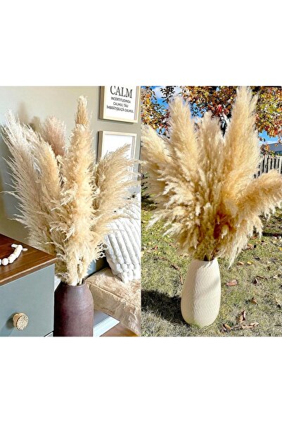 Bannilu Set 20 Bucati Iarba de Pampas Decorativa, Aspect Pufos si , Lungime 1...