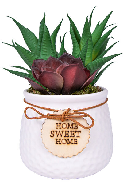 Herdekora Succulent Arrangement in Ceramic White Pot Burgundy-Green 14X17 Cm.