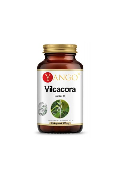 YANGO Vilcacora
