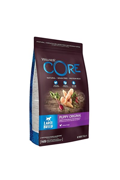Wellness Core Puppy Original Large Breed Ξηρά Τροφή Κουταβιού Γαλοπούλα & Κοτ...