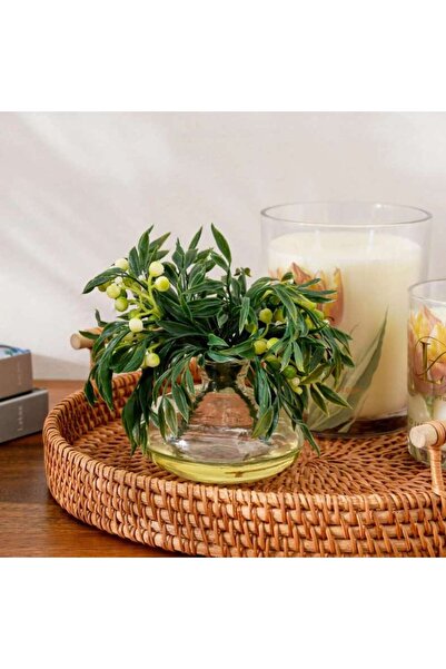 PAN HOME Artificial Green Stems Arrangement in Glass Vase 15x10x15cm - Green