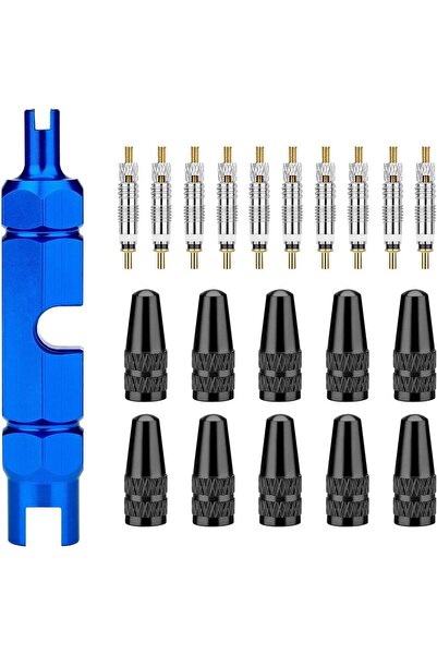 Arabest 21Pcs Valve Core Removal Tool Kit, Mountain Bike Detachable Valve Cor...
