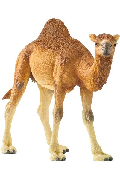 SCHLEICH Ζώα Καμήλα Δρομηρίδα (SCH14832)