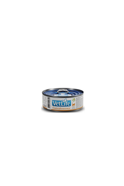 Vetlife Convalescence Hasta Kedi konserve Maması 85gr