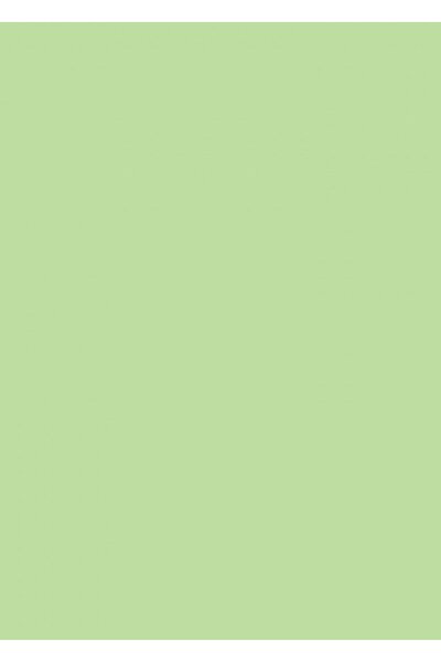 Canson Χαρτί Colorline 50x70 σε χρώμα Πράσινο Μήλο (105741027)