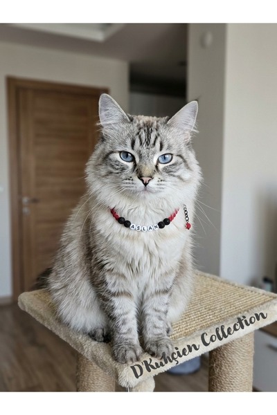 D'Kuhçien Cat Collar with the Word Aslan, Cat Necklace, Dog Necklace, Cat Cha...