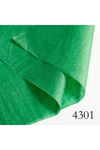 OEM Hârtie de mătase Verde Cadou Universal 50x70 cm