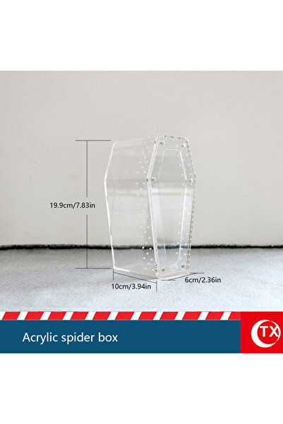 choice2 TXAD1086 Magnetic Acrylic Spider Enclosure | Transparent Habitat Box ...