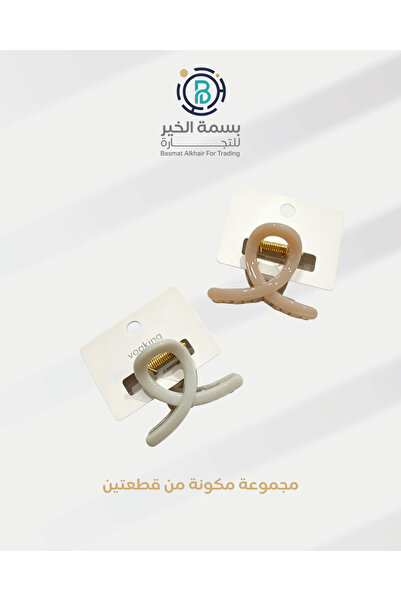 basmh 2-Piece Set of Multi-Shaped and Multi-Colored Hair Clips