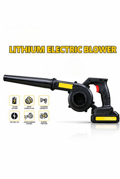 Baytix HOME Portable Electric Rechargable Dust and Leaf Blower with 21V Lithi...