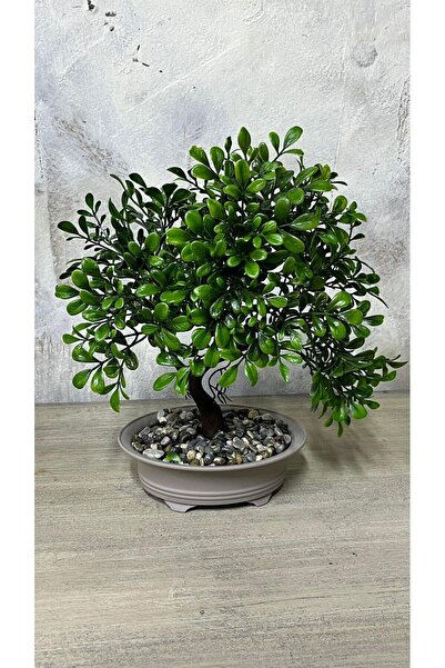 NEVVALİFE Bonsai Modeli Saksıda Modern Tasarım Yapay Çiçek, Mini Dikdörtgen S...