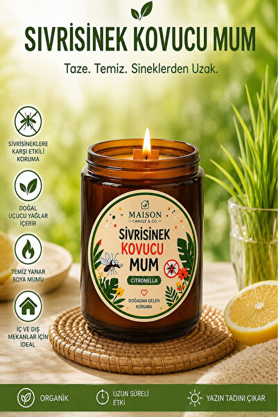 Maison Candle&Co Sivrisinek Kovucu Mum