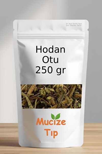 Mucize Tıp Hodan Otu Dökme 250 gr