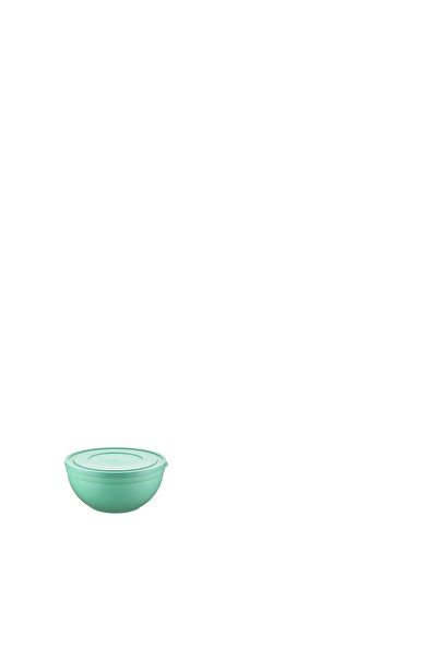 Hobby Sandy Bowl with Lid 1.2 L 1256