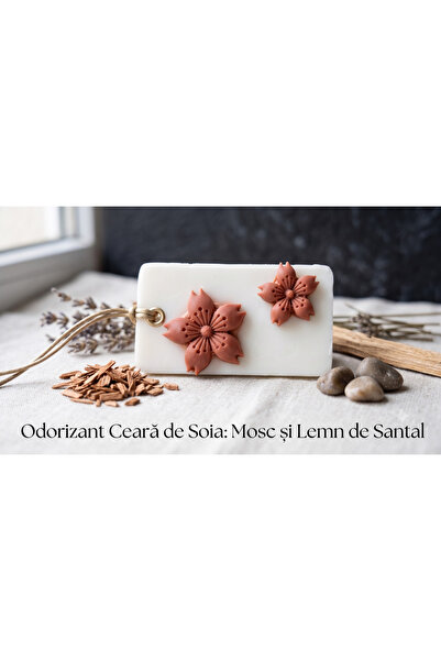ARÉA Scents Odorizant dulap Mystic Muskwood, Mosc si lemn de santal,Dreptungh...