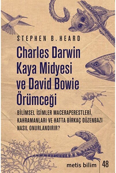 Metis Yayınları Charles Darwin Kaya Midyesi ve David Bowie Örümceği