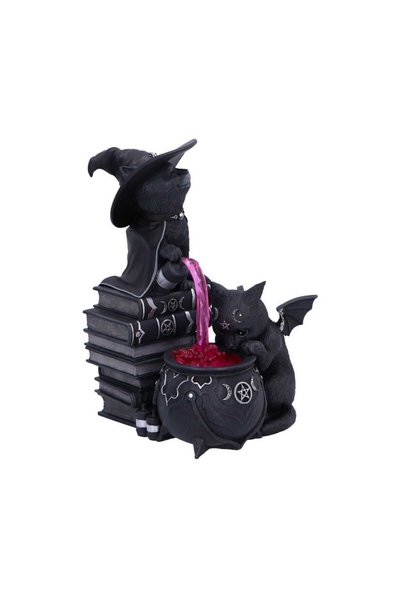OEM Figurina Kociolek, Nemesis Now, 18,5 cm, multicolor